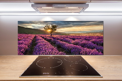 Keuken achterwand Lavendelveld