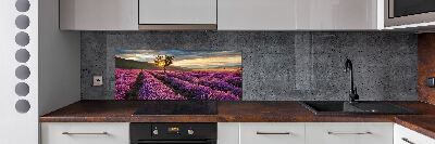 Keuken achterwand Lavendelveld