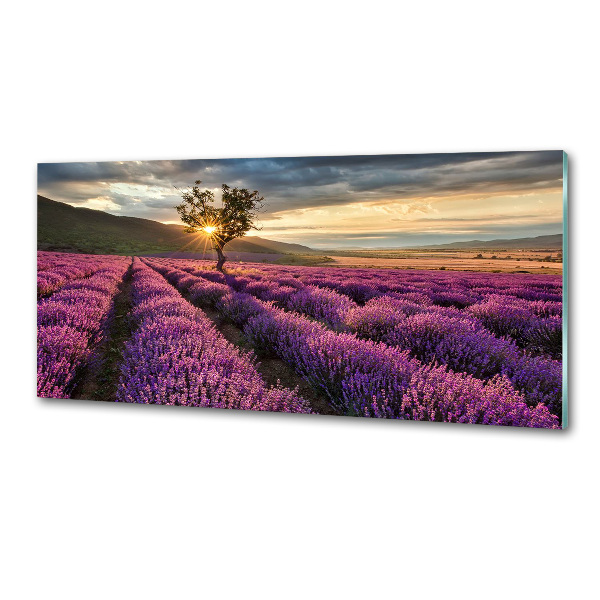 Keuken achterwand Lavendelveld