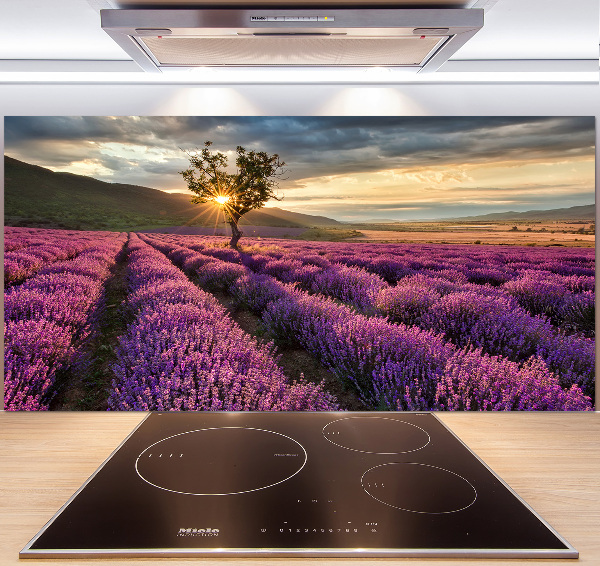 Keuken achterwand Lavendelveld