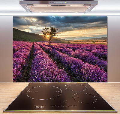 Keuken achterwand Lavendelveld