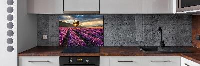 Keuken achterwand Lavendelveld