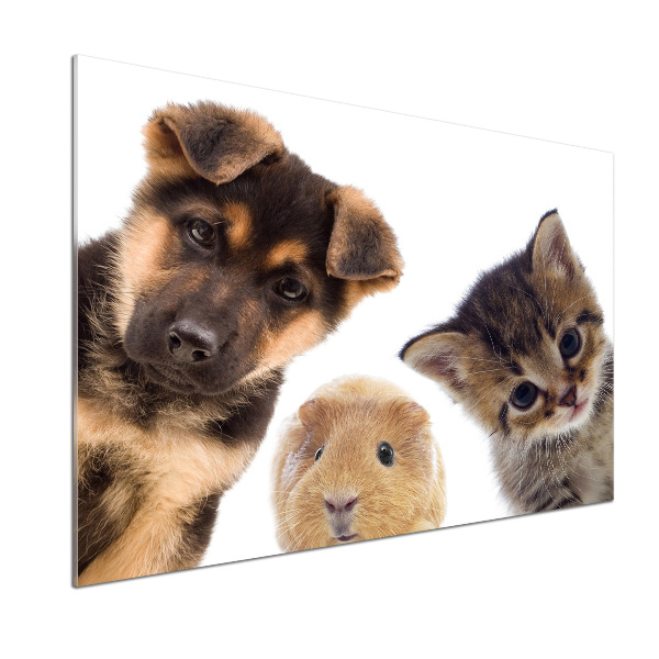 Panel do kuchni Zwierzęta domowe