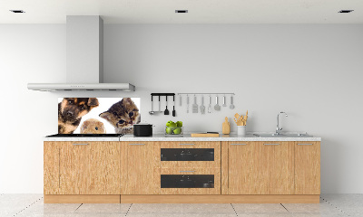 Spatscherm keuken Huisdieren