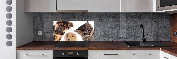 Spatscherm keuken Huisdieren