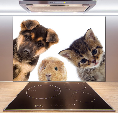 Spatscherm keuken Huisdieren