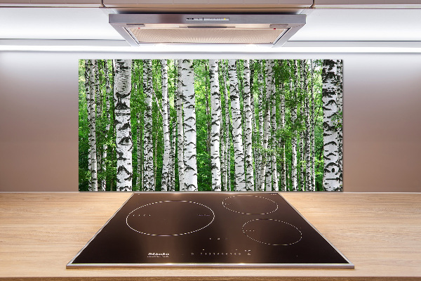 Spatscherm keuken Berken