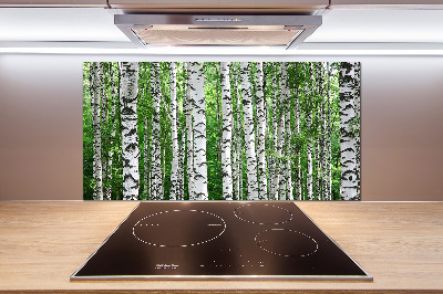 Spatscherm keuken Berken
