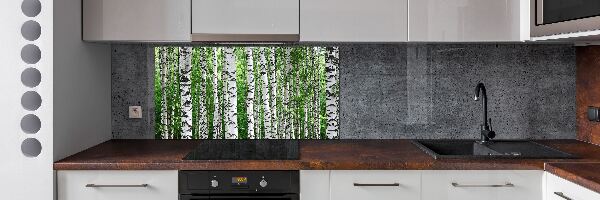 Spatscherm keuken Berken