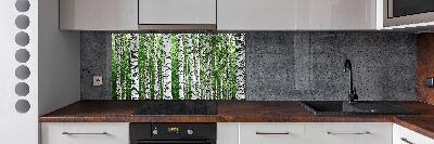 Spatscherm keuken Berken