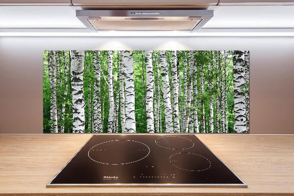 Spatscherm keuken Berken