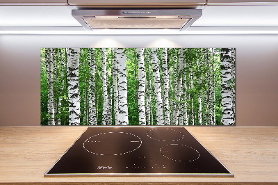 Spatscherm keuken Berken