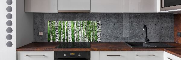 Spatscherm keuken Berken