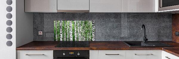 Spatscherm keuken Berken