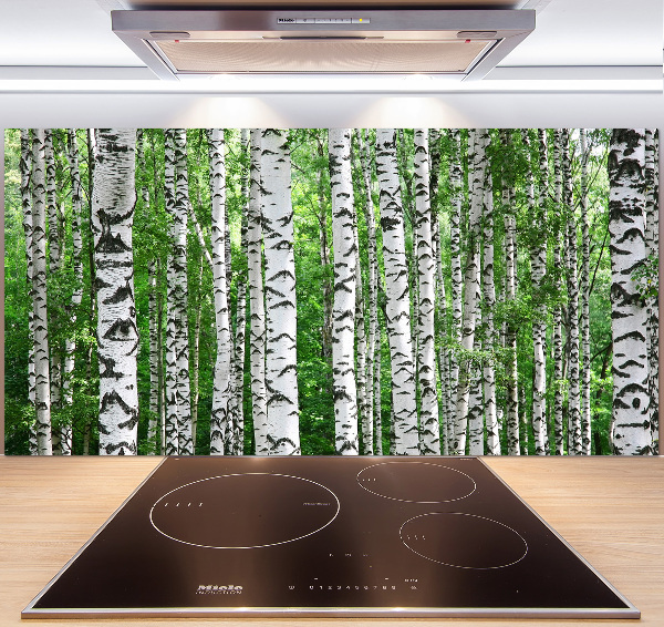 Spatscherm keuken Berken