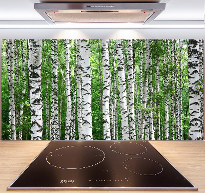 Spatscherm keuken Berken