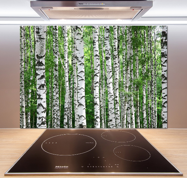 Spatscherm keuken Berken