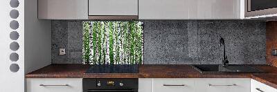 Spatscherm keuken Berken