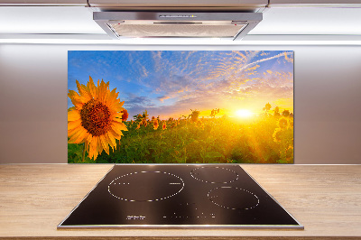 Spatplaat keuken Een veld met zonnebloemen