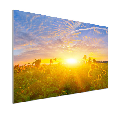 Spatplaat keuken Een veld met zonnebloemen