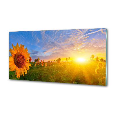 Spatplaat keuken Een veld met zonnebloemen