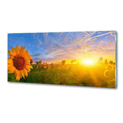 Spatplaat keuken Een veld met zonnebloemen