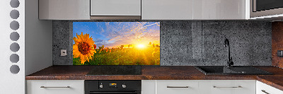 Spatplaat keuken Een veld met zonnebloemen