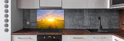 Spatplaat keuken Een veld met zonnebloemen