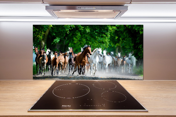 Spatplaat keuken Paarden in galop