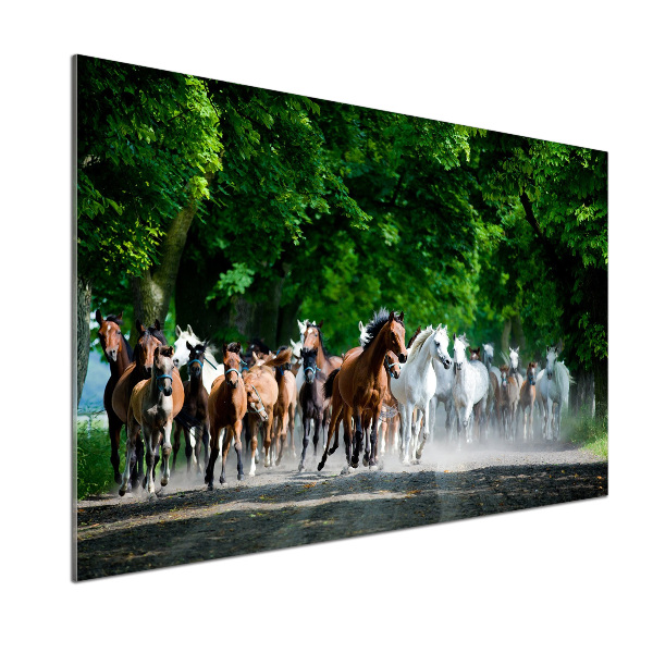 Spatplaat keuken Paarden in galop