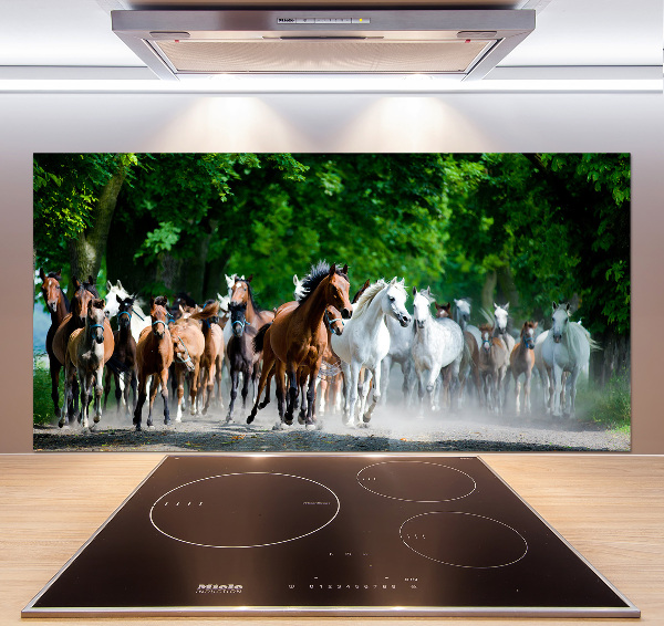 Spatplaat keuken Paarden in galop