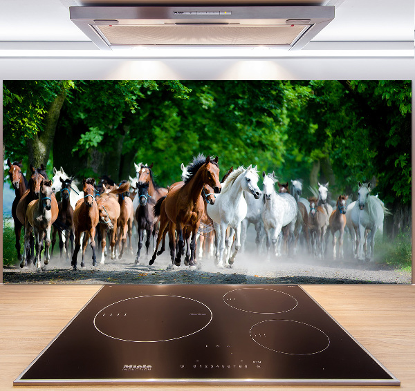Spatplaat keuken Paarden in galop