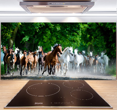 Spatplaat keuken Paarden in galop