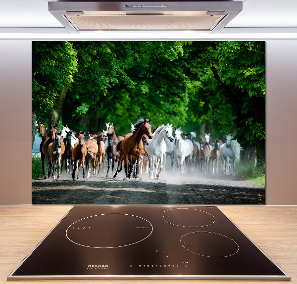 Spatplaat keuken Paarden in galop