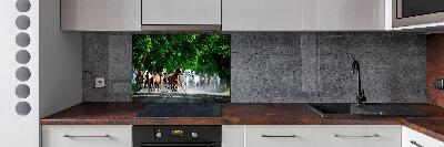 Spatplaat keuken Paarden in galop