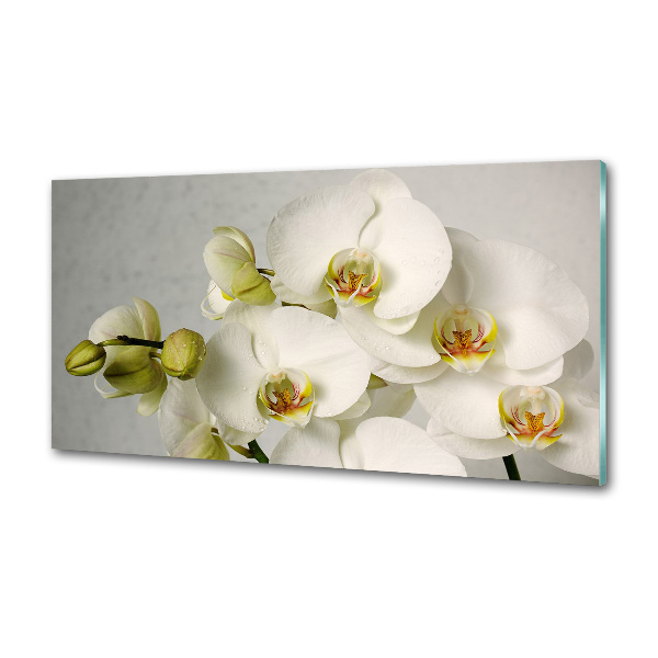 Keuken achterwand Witte orchidee
