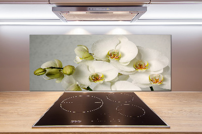 Keuken achterwand Witte orchidee