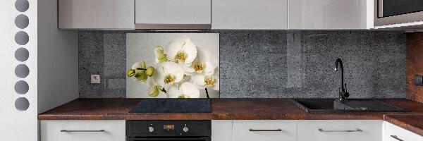 Keuken achterwand Witte orchidee