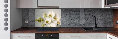 Keuken achterwand Witte orchidee