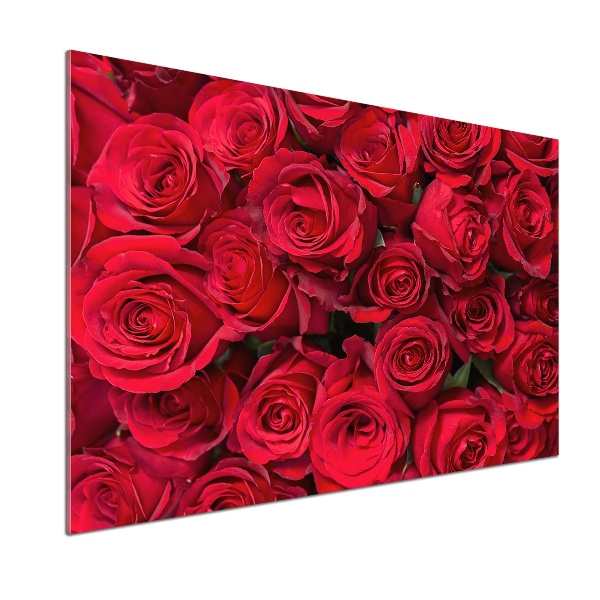 Glazen achterwand keuken Rode rozen