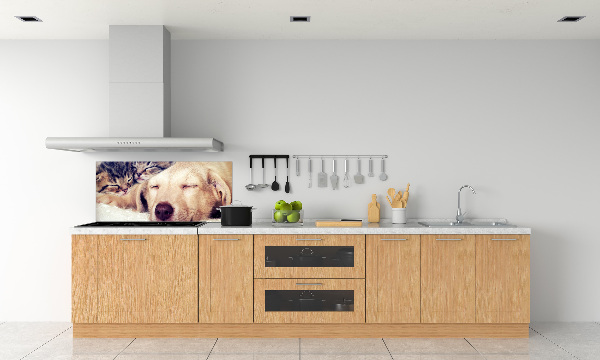 Keuken achterwand Puppy's en katten