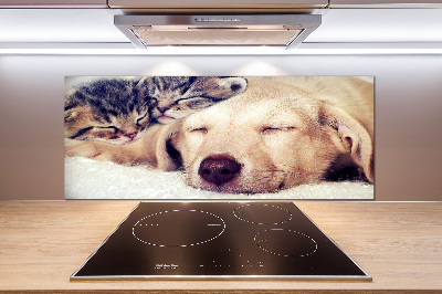Keuken achterwand Puppy's en katten
