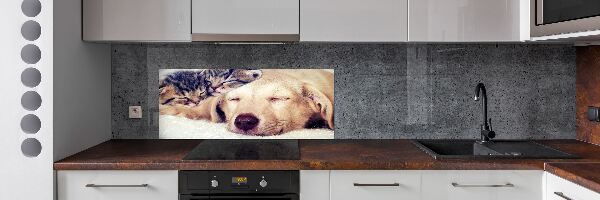 Keuken achterwand Puppy's en katten