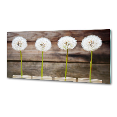 Achterwand keuken Paardenbloemen