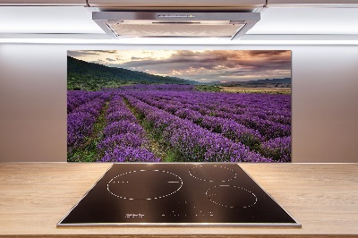 Spatplaat keuken Lavendelveld