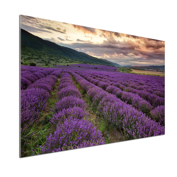 Spatplaat keuken Lavendelveld