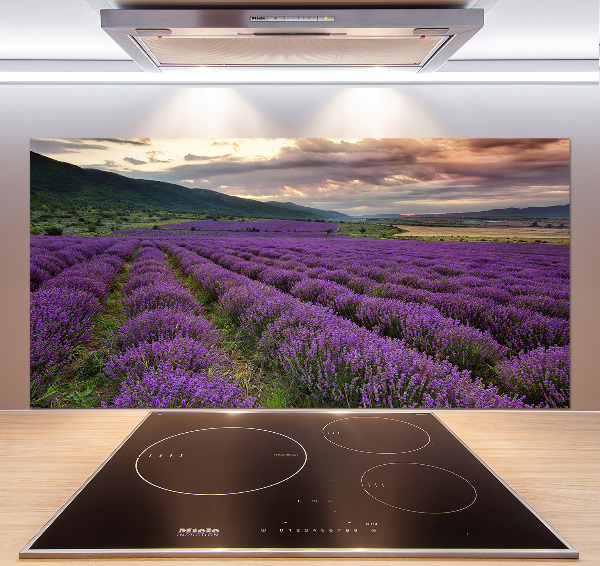 Spatplaat keuken Lavendelveld