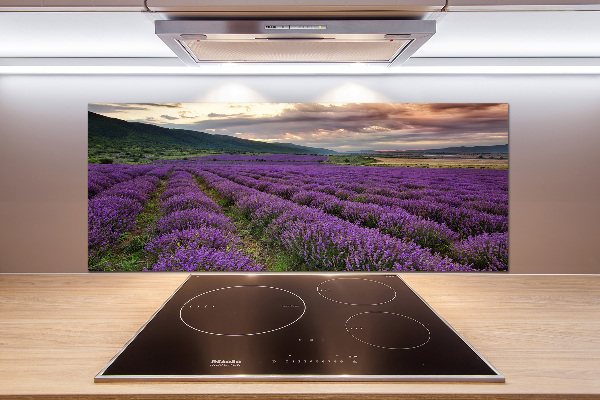 Spatplaat keuken Lavendelveld