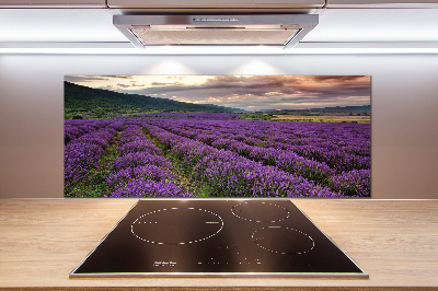 Spatplaat keuken Lavendelveld