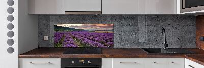 Spatplaat keuken Lavendelveld
